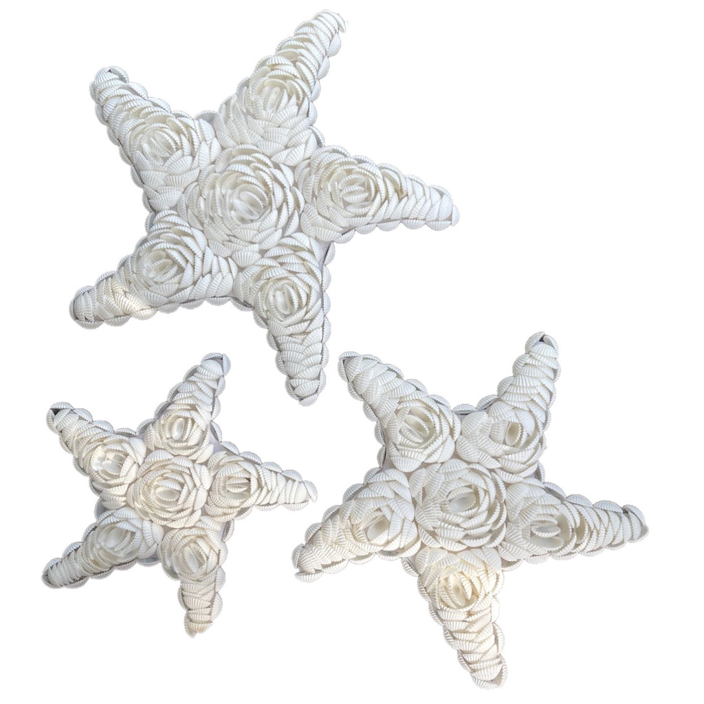 Shell Starfish