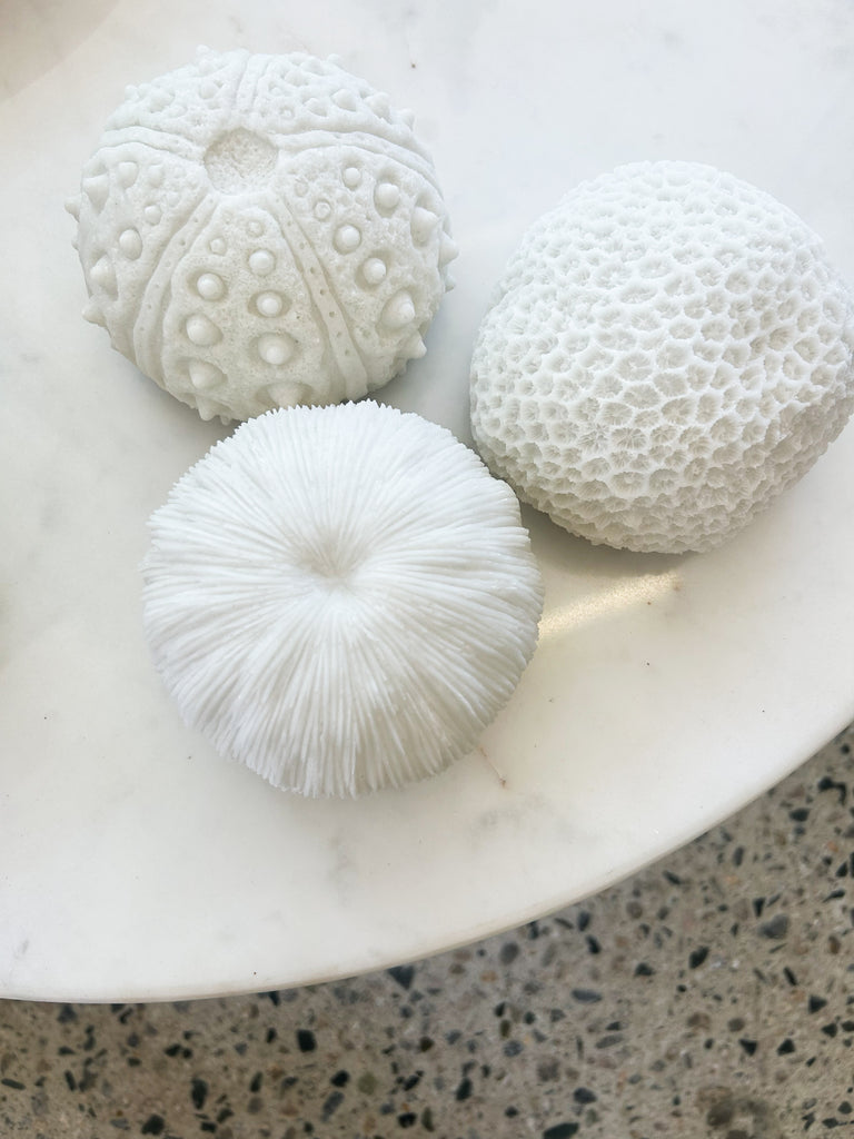 Urchins Outdoor Light