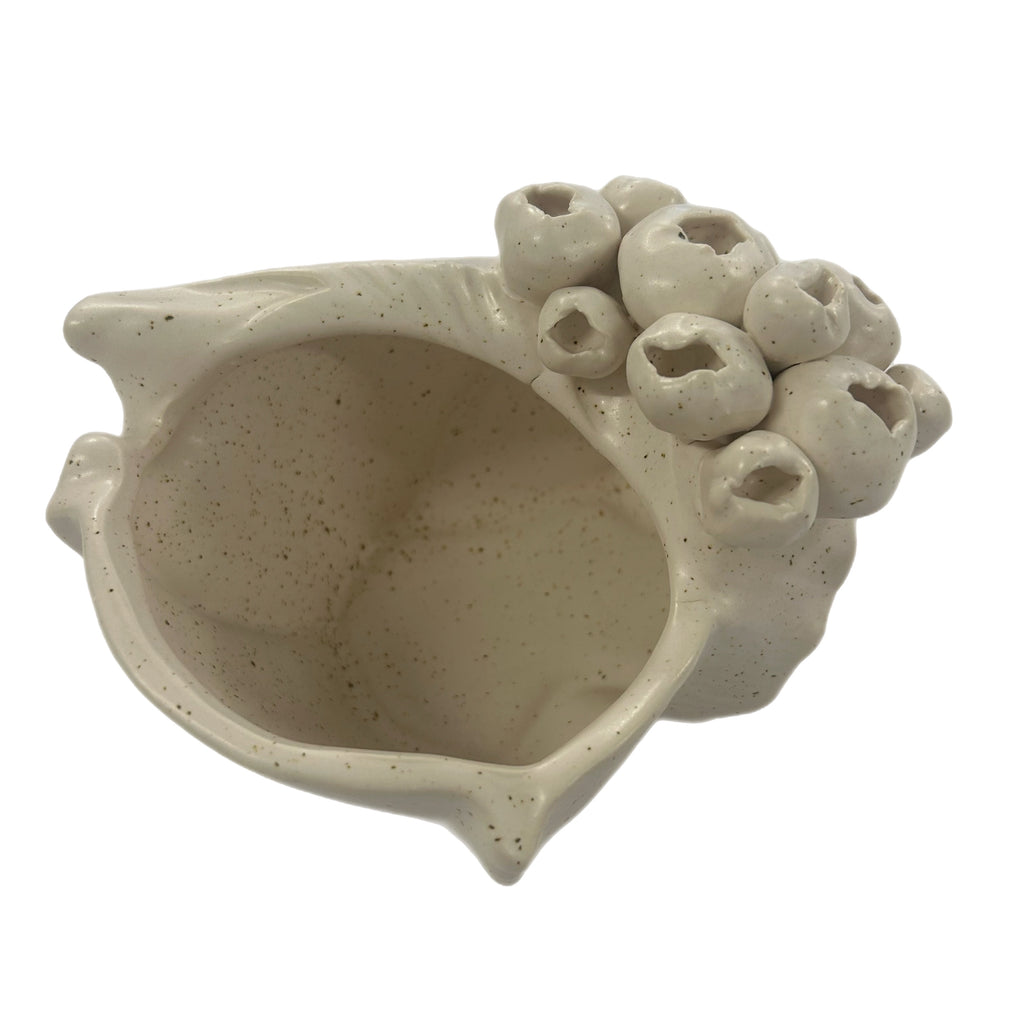 Sandy Ceramic Shell Sculpture