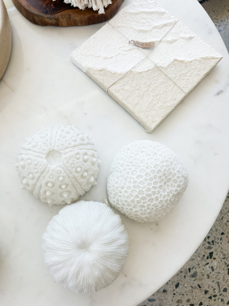 Urchins Outdoor Light