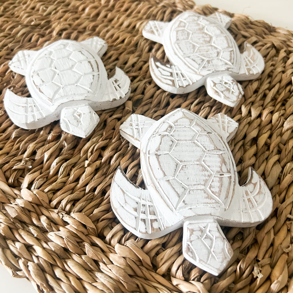 Turtle Decor