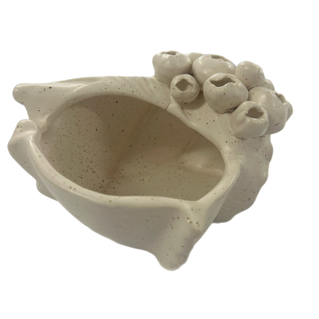 Sandy Ceramic Shell Sculpture