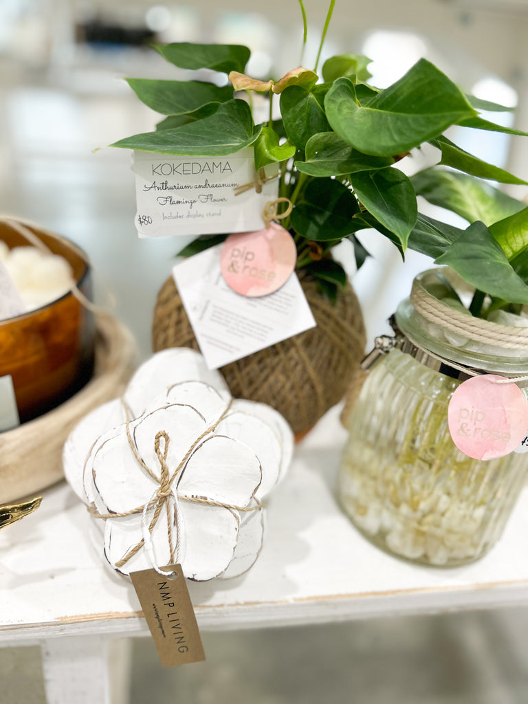 Set of Three Frangipani Decor