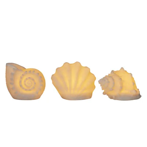 Shell Outdoor Light