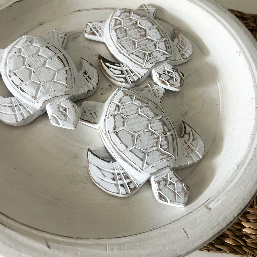 Turtle Decor