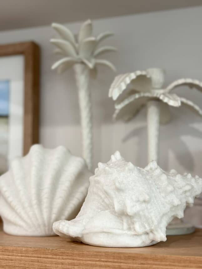 Shell Outdoor Light