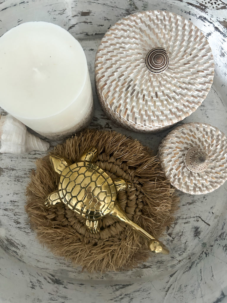 Brass Turtle Wall Hook