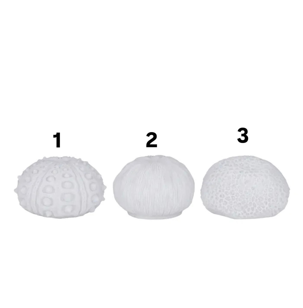 Urchins Outdoor Light