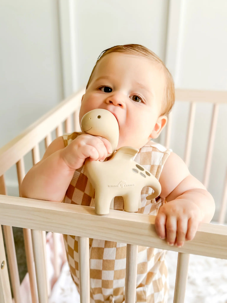 Diplo the Dino-Dragon Teether