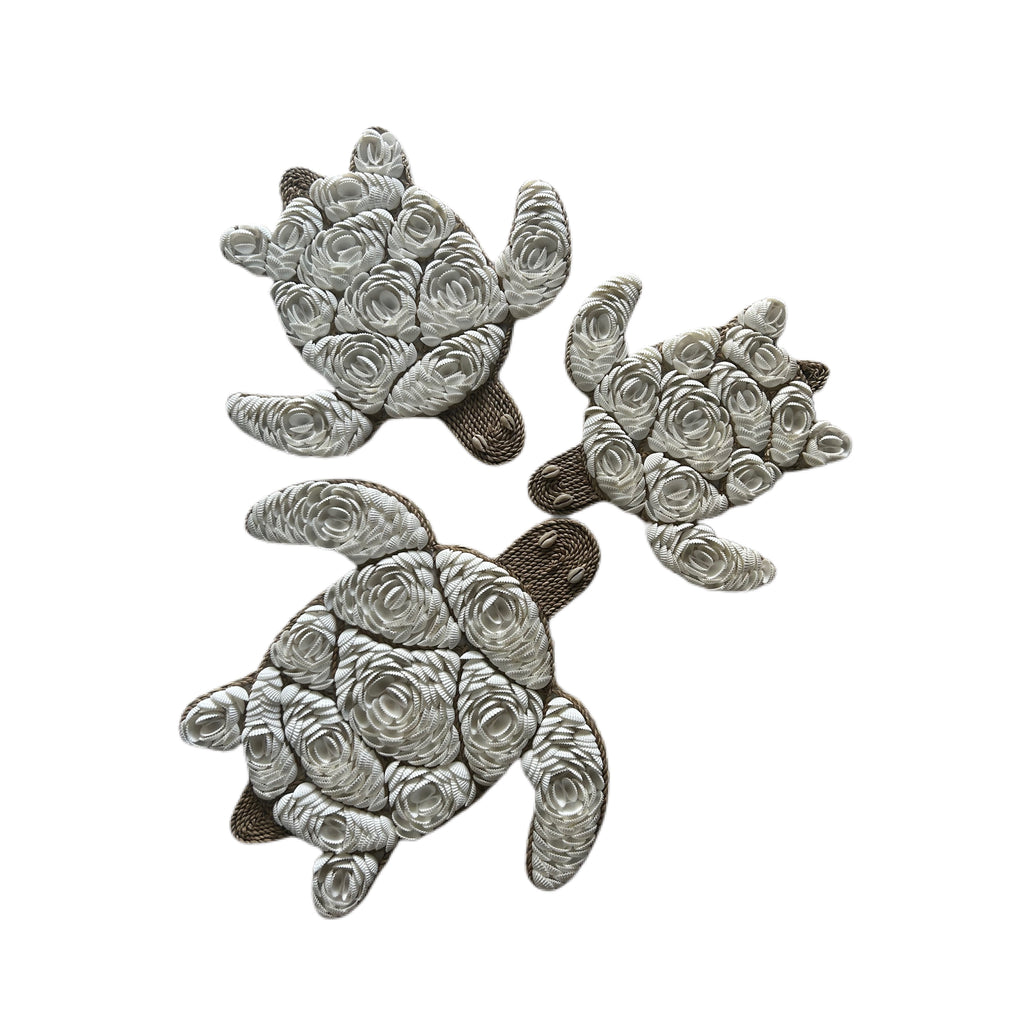 Shell Turtle Wall Hangings