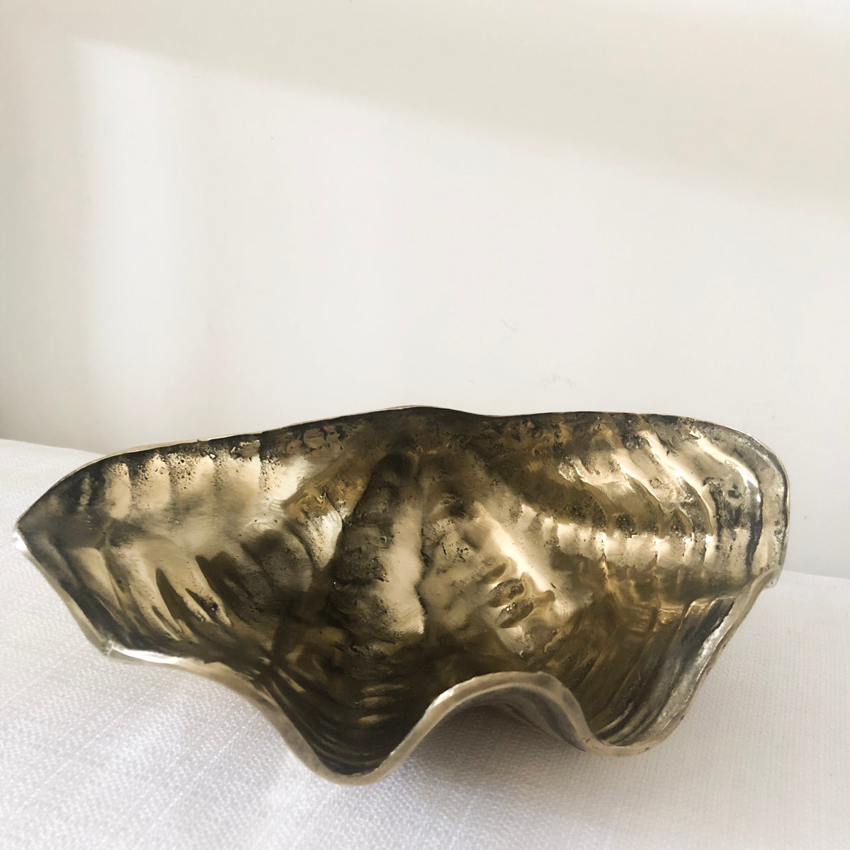 Brass Clam Shell {Large} | NMP Living