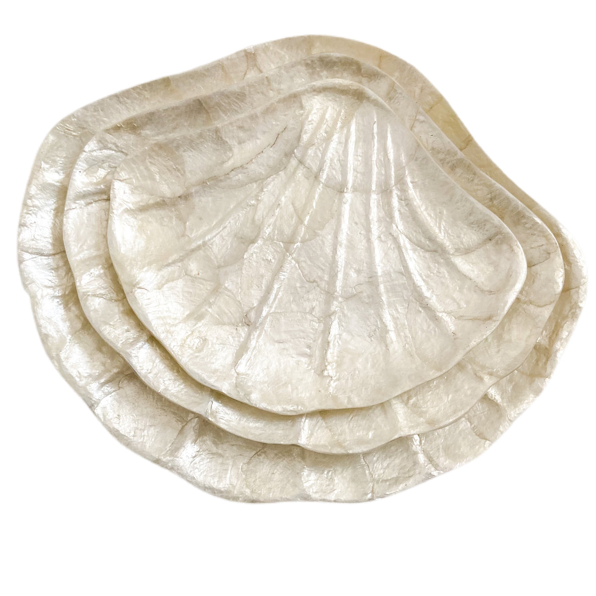 Capish Clam Shell Dish - Set of 3 | NMP Living