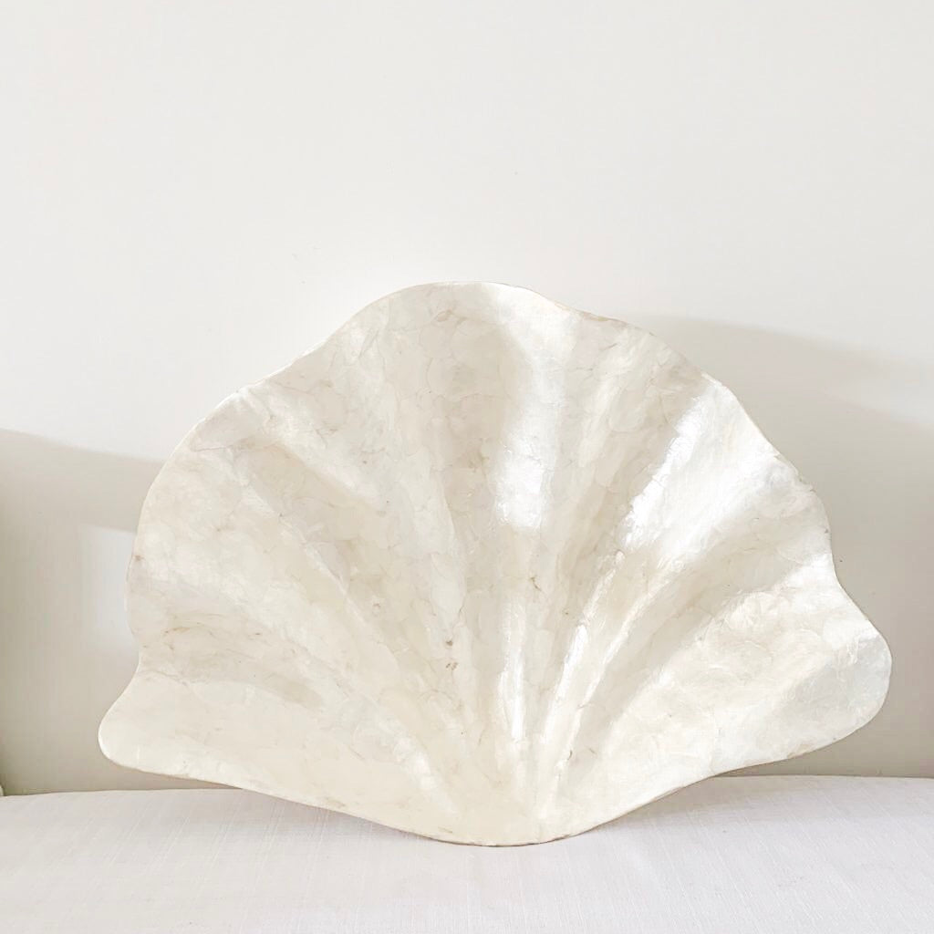Clam Shell {60cms}