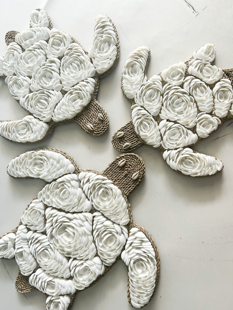 Shell Turtle Wall Hangings