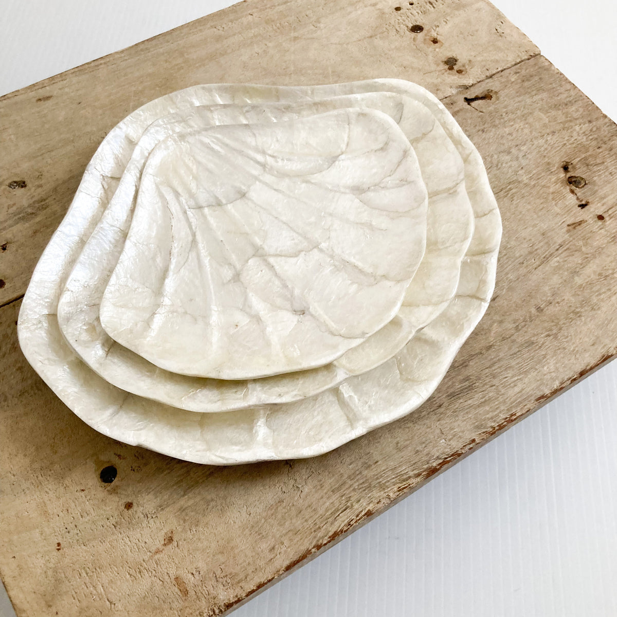 Capish Clam Shell Dish - Set of 3 | NMP Living
