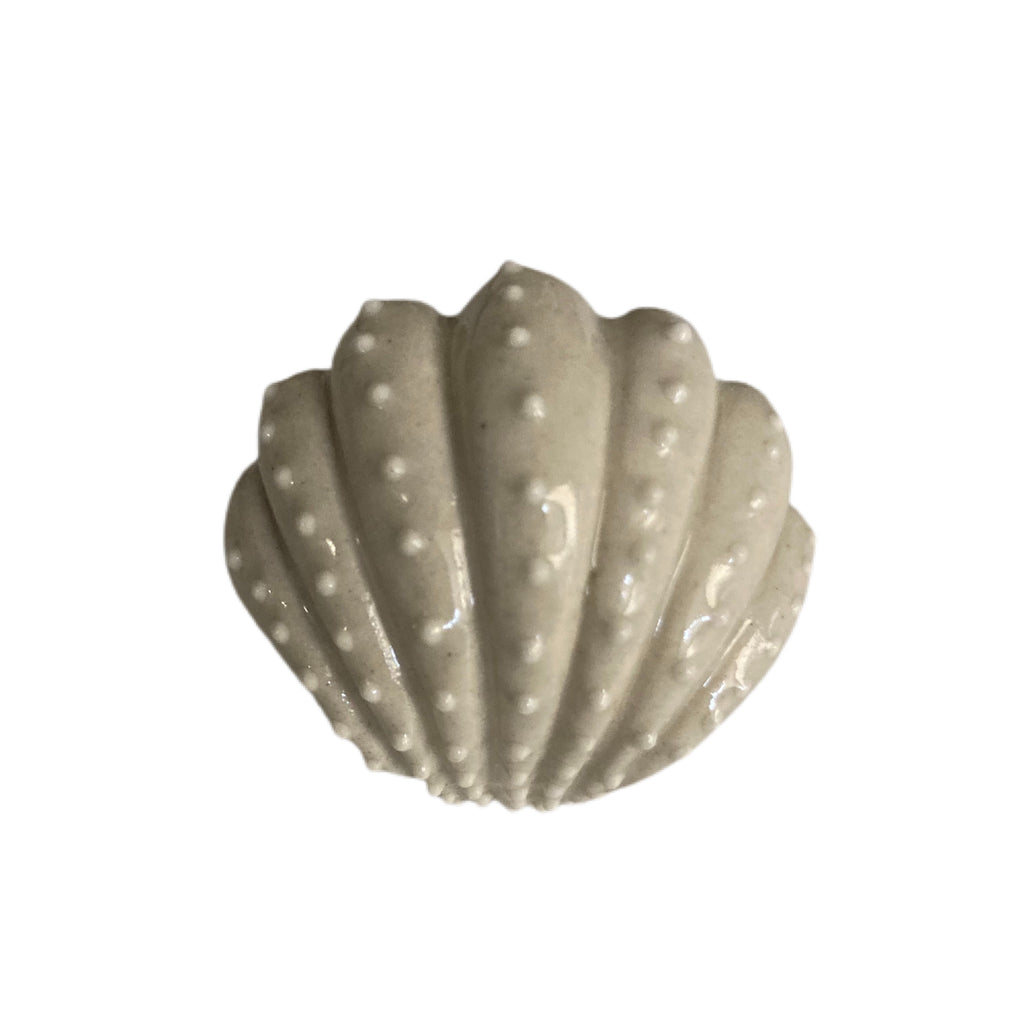 Clam Shell Drawer Knobs