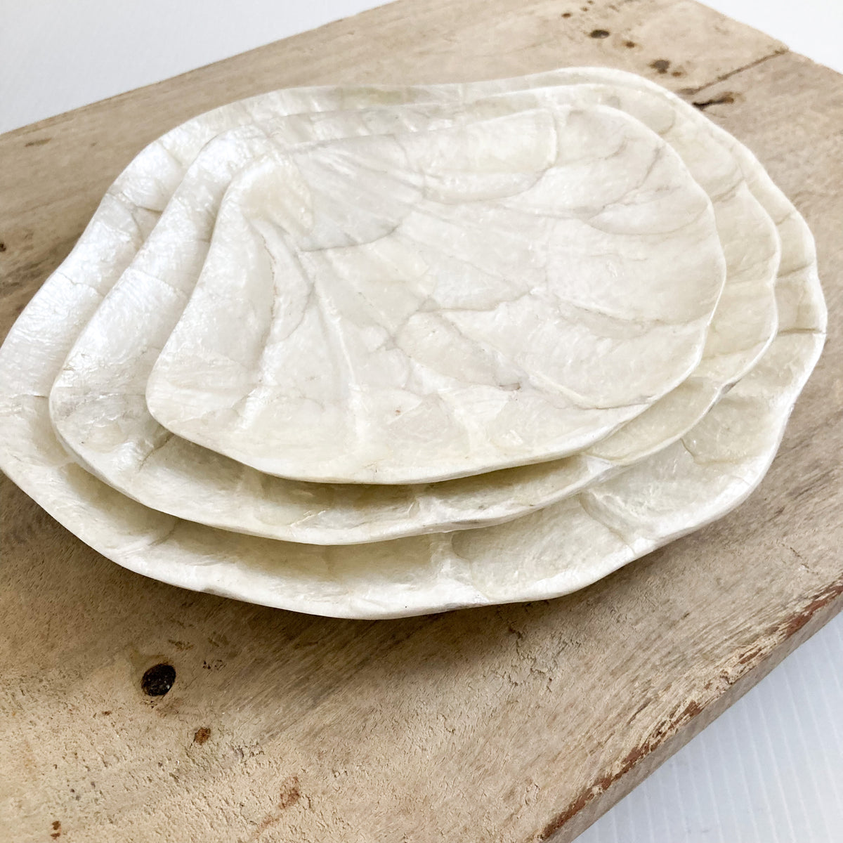 Capish Clam Shell Dish - Set of 3 | NMP Living