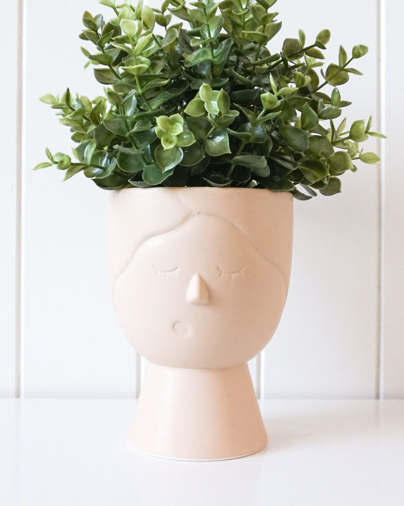 Lottie Pot Plant [Natural]
